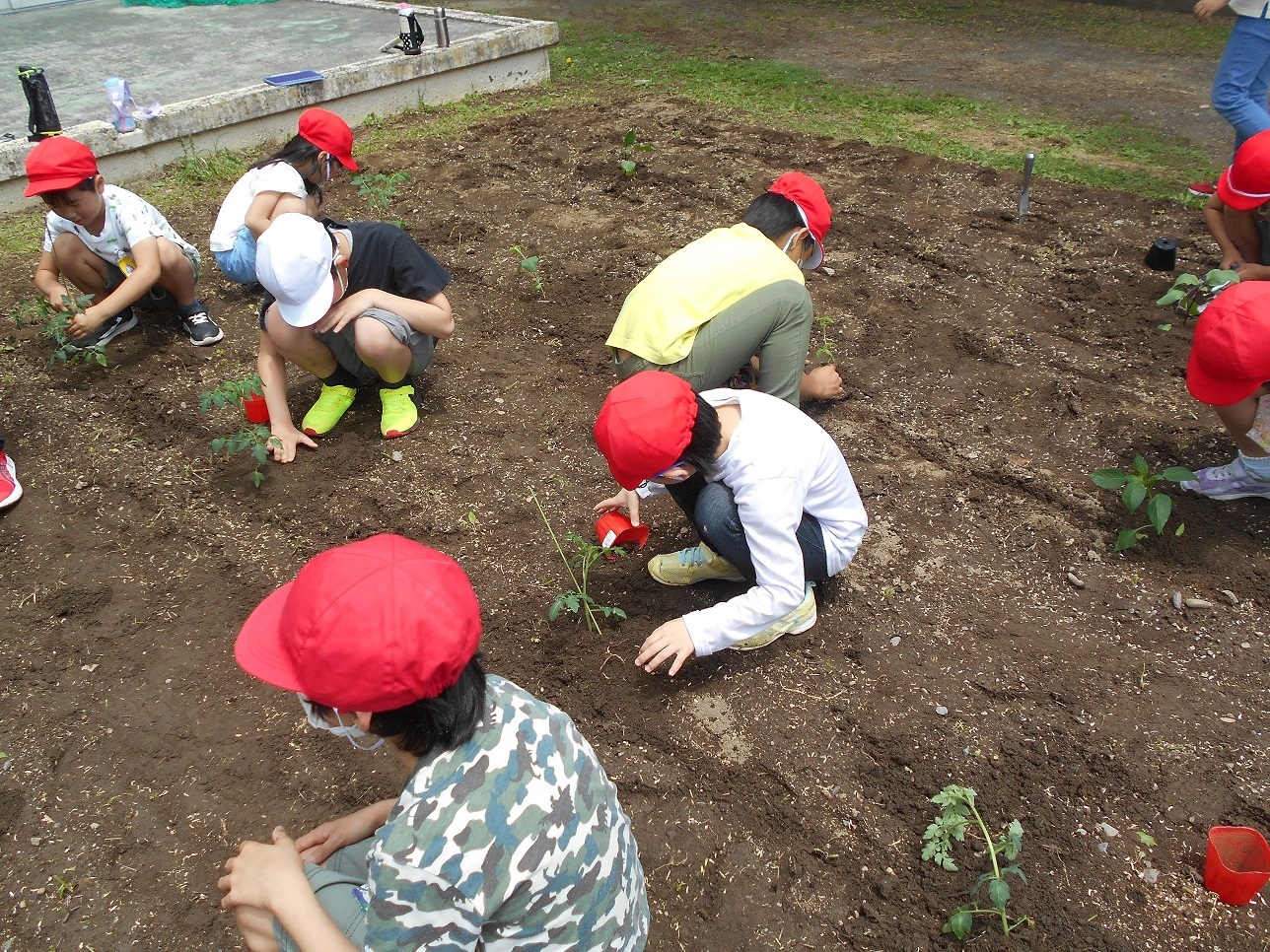 DSCN3873.JPG