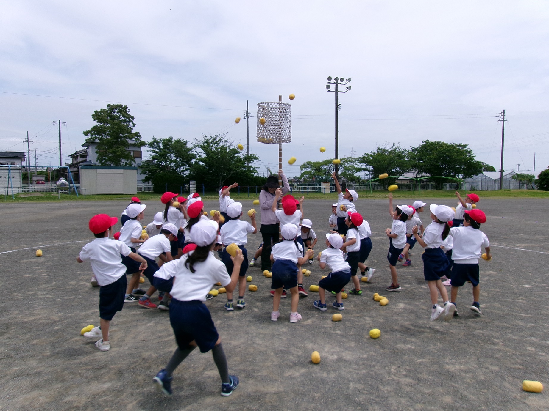 102_0953 コピー.JPG