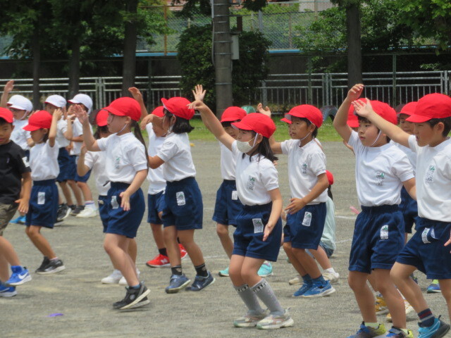 IMG_7593.JPG