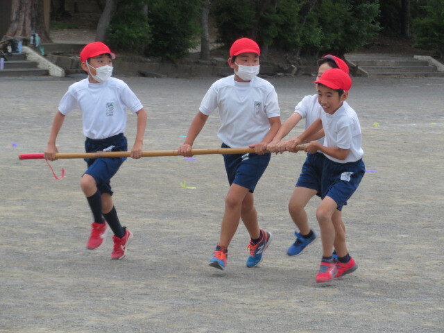 IMG_7620.JPG