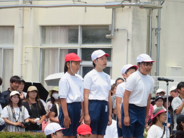 IMG_7812.JPG