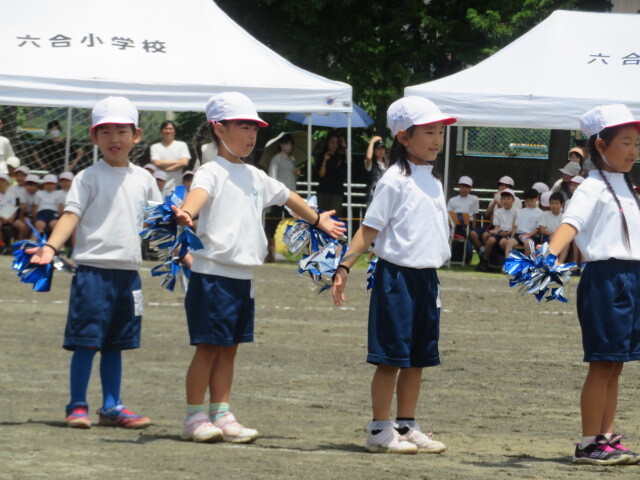 IMG_7833.JPG