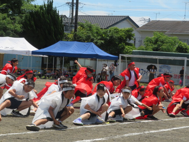 IMG_7883.JPG
