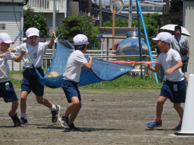 IMG_7971.JPG