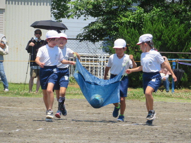 IMG_7977.JPG