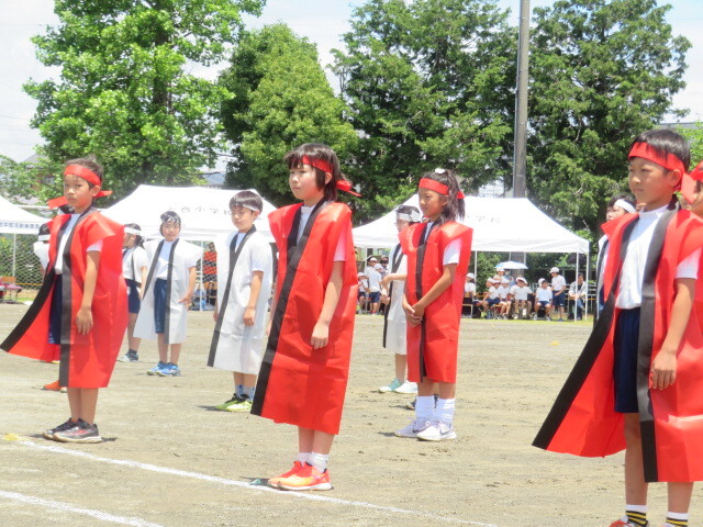 IMG_7878.JPG