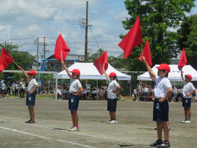 IMG_7904.JPG