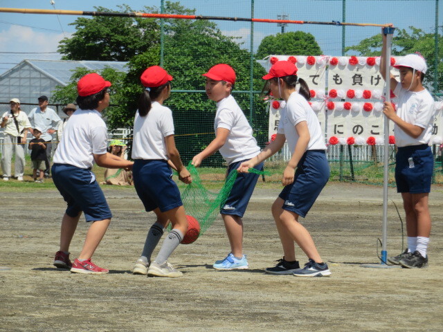 IMG_8031.JPG