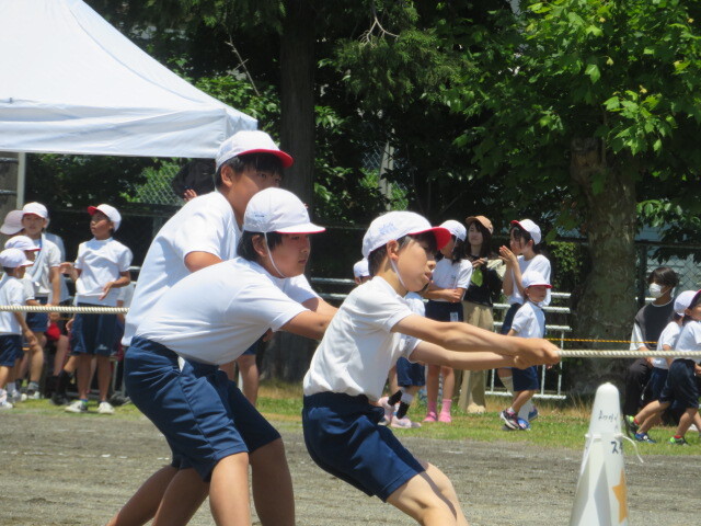 IMG_7929.JPG