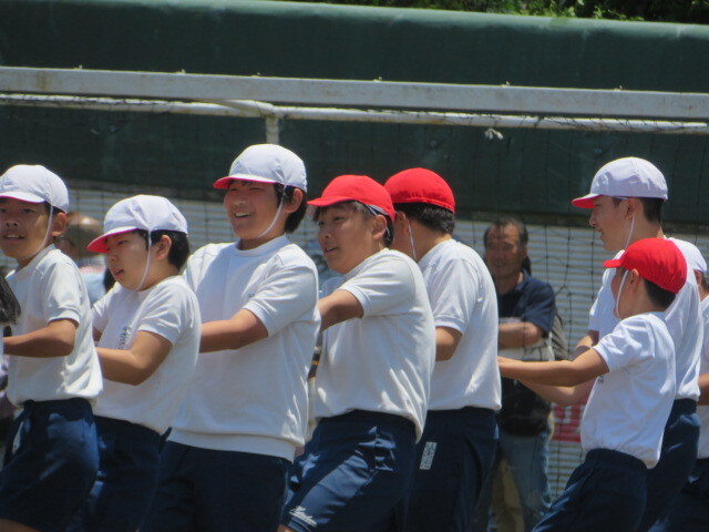 IMG_7931.JPG
