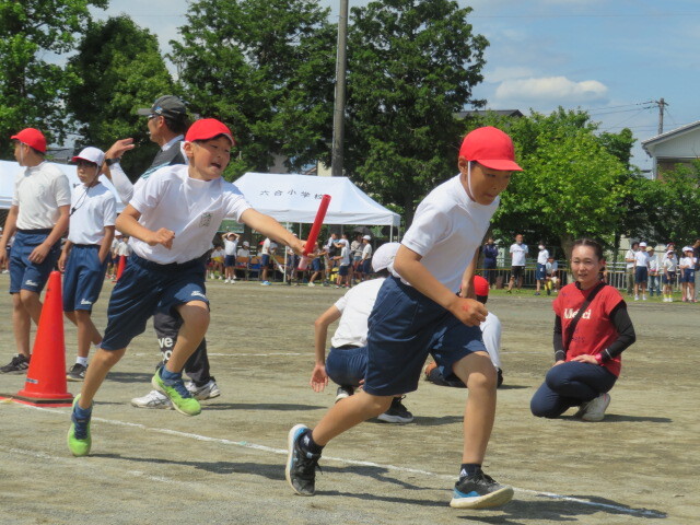 IMG_8051.JPG