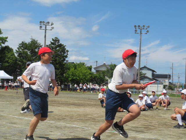 IMG_8054.JPG