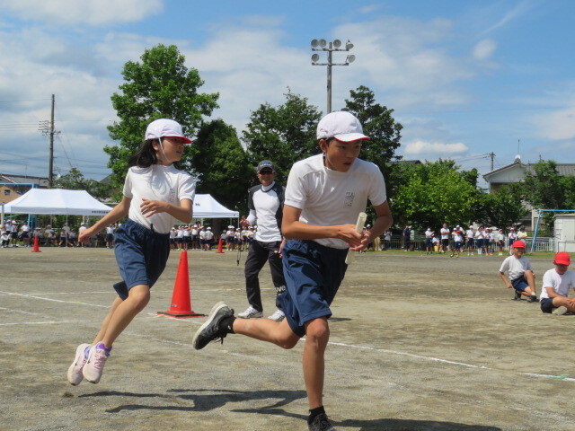IMG_8055.JPG