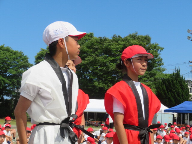 IMG_8065.JPG