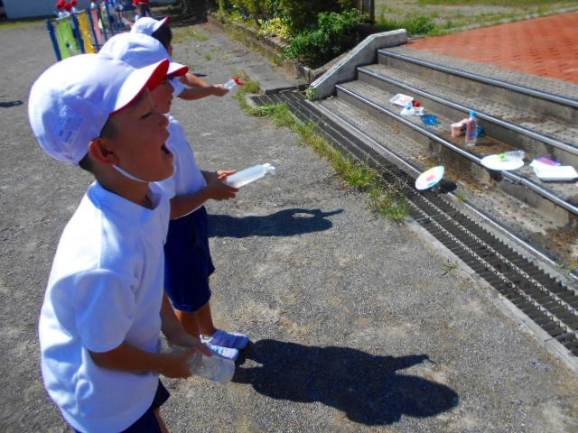 DSCN6993.jpg