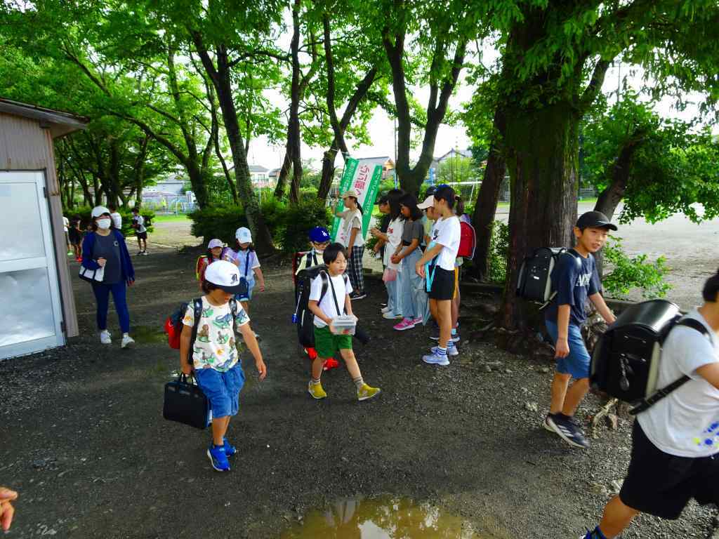 DSC05623.jpg
