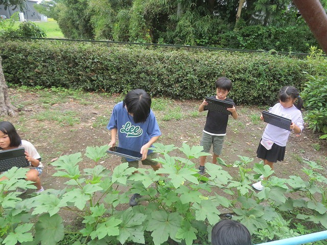 IMG_8685.jpg