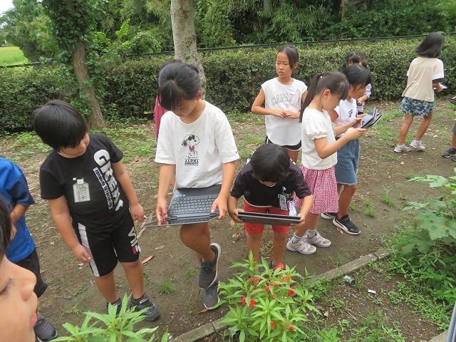 IMG_8686.jpg