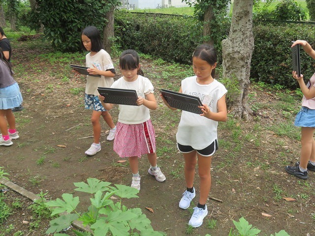 IMG_8689.jpg