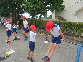 IMG_8896.jpg