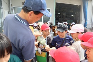 IMG_3352.jpg