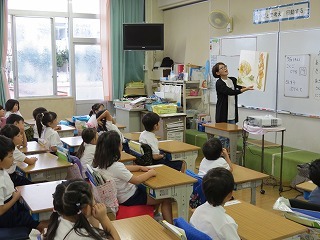 IMG_9912.jpg