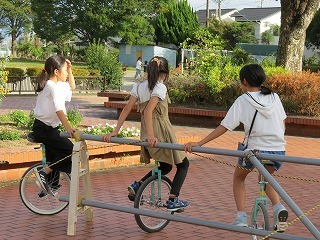IMG_9982.jpg