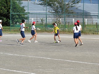 IMG_9987.jpg