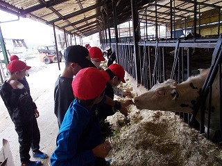 DSCN0932.jpg