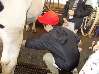 DSCN0940.jpg