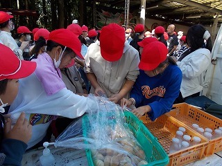 DSCN0977.jpg