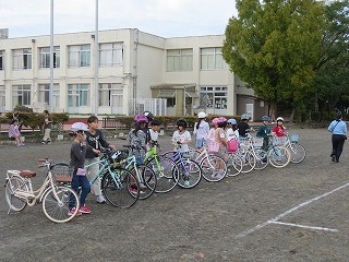 IMG_0450.jpg