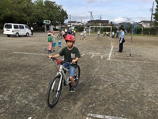 IMG_2761.jpg