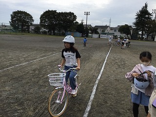 IMG_2772.jpg