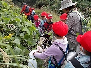 DSCN1556.jpg