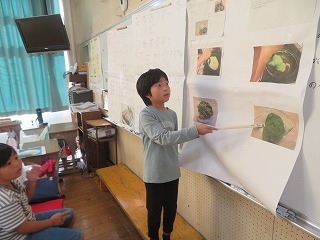 IMG_0303.jpg