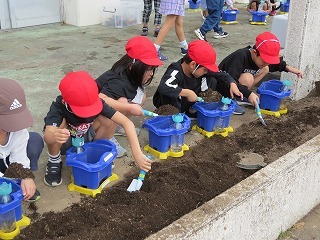 IMG_1070.jpg