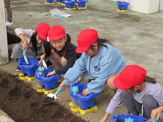 IMG_1072.jpg