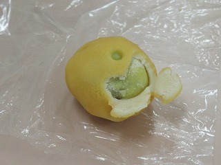 IMG_0318.jpg