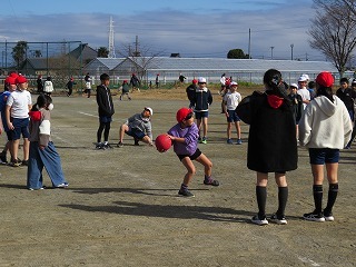 IMG_2929.jpg