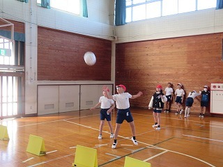 IMG_0800.jpg