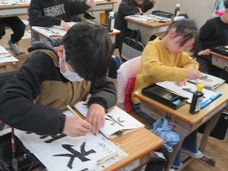 IMG_1019.jpg