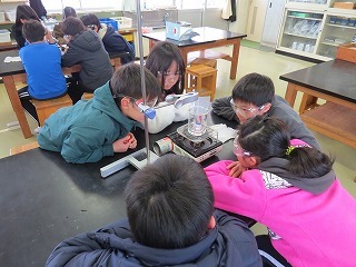 IMG_4849.jpg