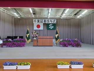 IMG_1086.jpg