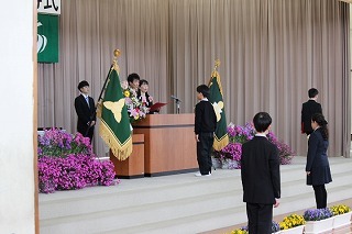 IMG_1353.jpg