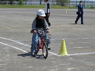IMG_5450.jpg