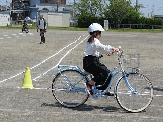IMG_5462.jpg