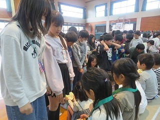 IMG_1295.jpg