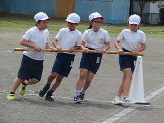IMG_1382.jpg