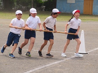 IMG_1384.jpg